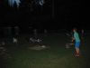 IMG_5819.jpg