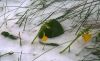 Filename=OTL (05).jpg
Filesize=458KB
Dimensions=1614x997
Date added=May 01, 2016 OTL (05).jpg